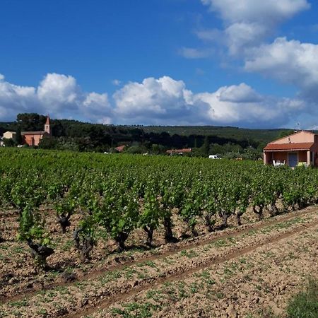 Gite " Au Milieu Des Vignes " Le Castellet  Exterior foto