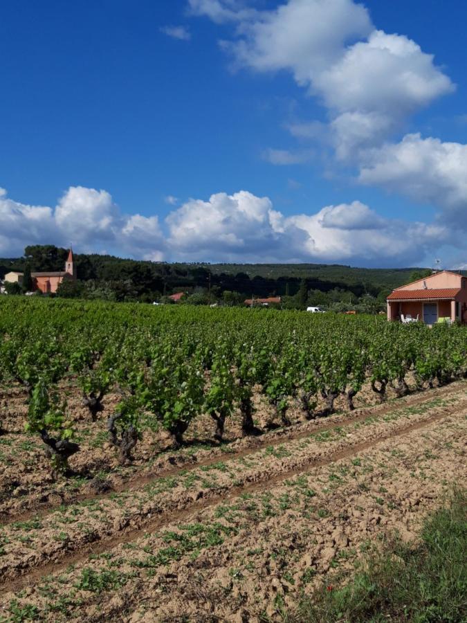 Gite " Au Milieu Des Vignes " Le Castellet  Exterior foto