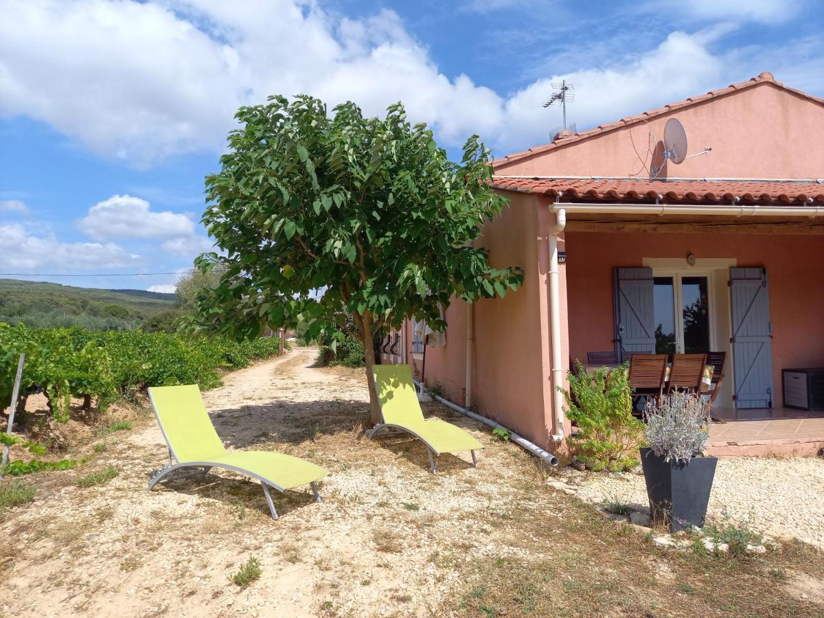 Gite " Au Milieu Des Vignes " Le Castellet  Exterior foto