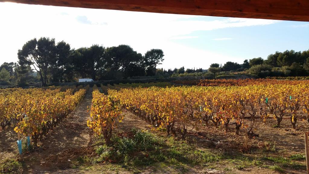 Gite " Au Milieu Des Vignes " Le Castellet  Exterior foto