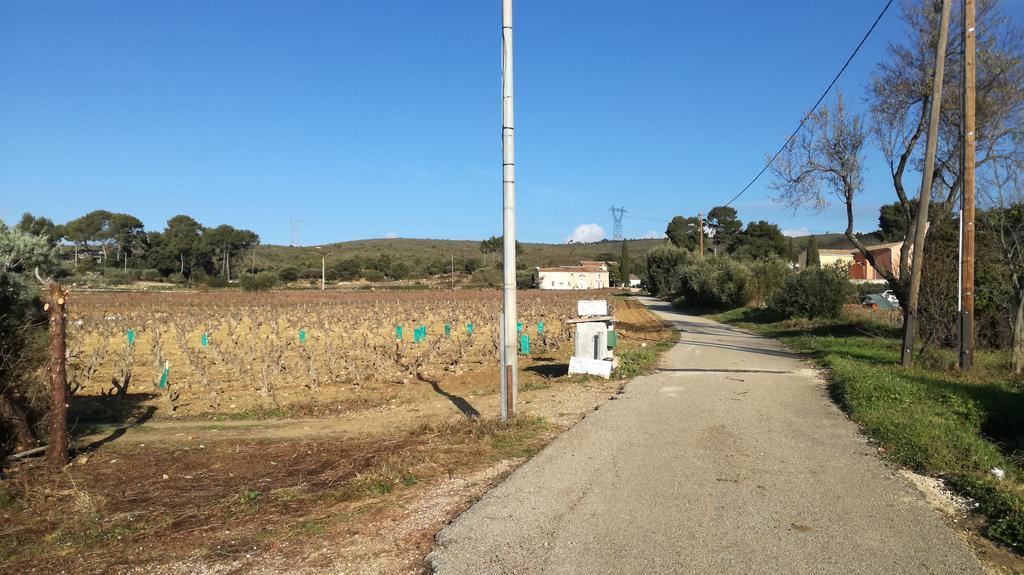 Gite " Au Milieu Des Vignes " Le Castellet  Exterior foto