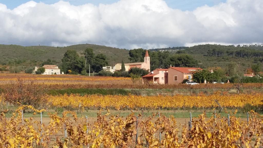 Gite " Au Milieu Des Vignes " Le Castellet  Exterior foto