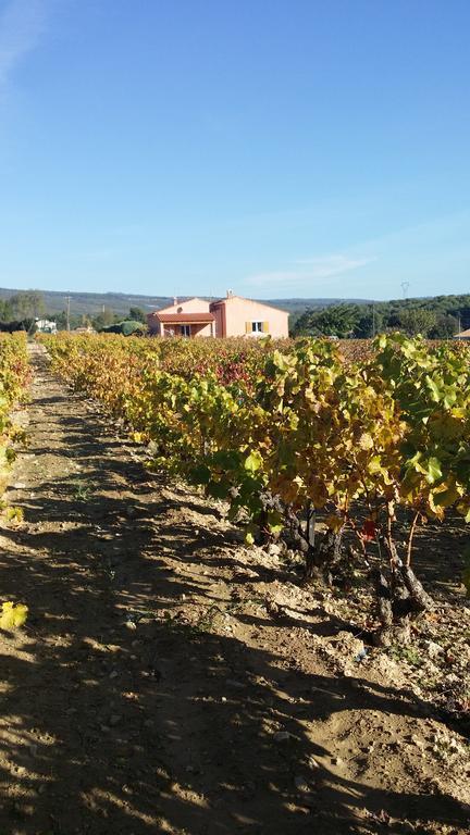 Gite " Au Milieu Des Vignes " Le Castellet  Exterior foto