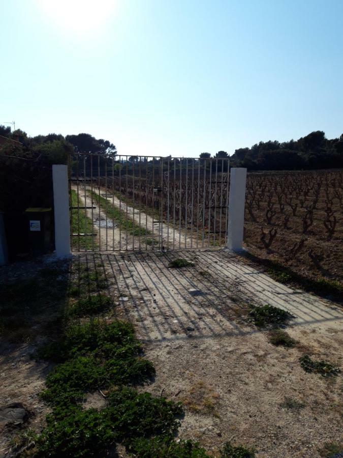 Gite " Au Milieu Des Vignes " Le Castellet  Exterior foto