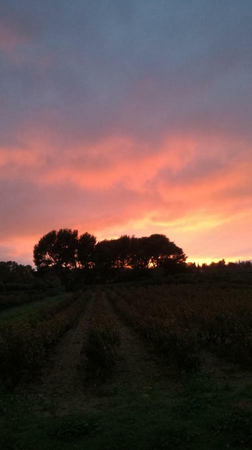 Gite " Au Milieu Des Vignes " Le Castellet  Exterior foto