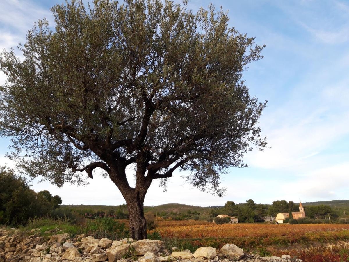 Gite " Au Milieu Des Vignes " Le Castellet  Exterior foto